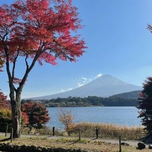 Meet your Posher, Sandy